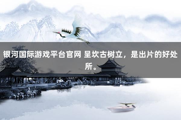 银河国际游戏平台官网 呈坎古树立，是出片的好处所。