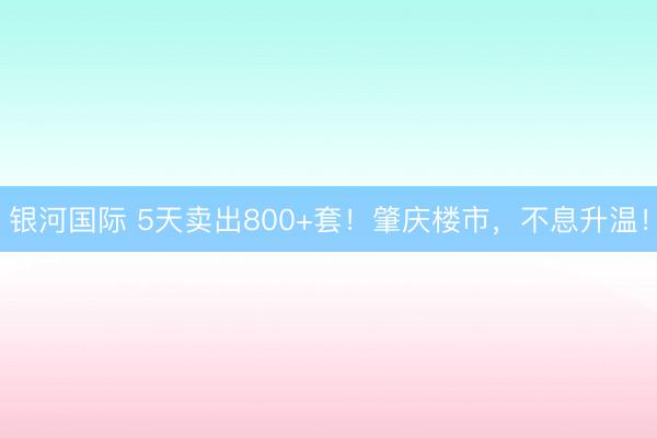 银河国际 5天卖出800+套！肇庆楼市，不息升温！