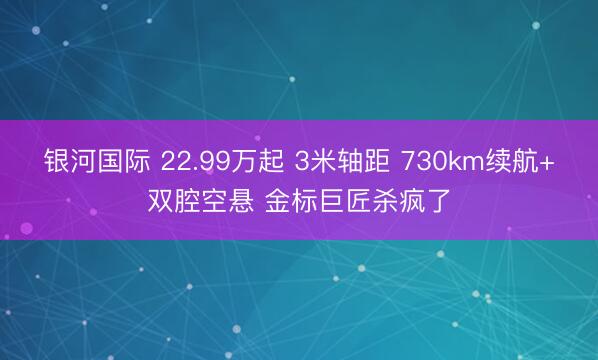银河国际 22.99万起 3米轴距 730km续航+双腔空悬 金标巨匠杀疯了